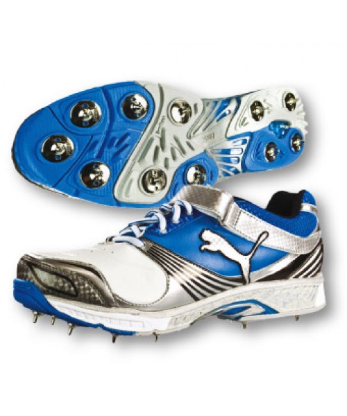 Schuhe & Spikes (0)